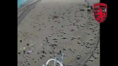 Russian observation drone shot down by kamikaze drone of the reconnaissance unit of the 68th Jaeger Brigade "Oleksa Dovbush". Donetsk region, published August 1, 2024