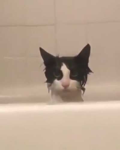 That’s the look of “Don’t go to sleep tonight or else”