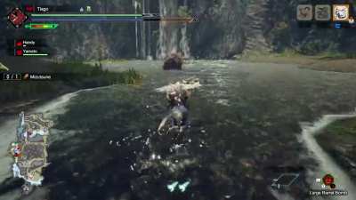 I don't think I will ever be able to top this kill!