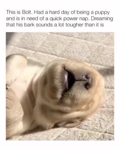 Squeaky Bolt