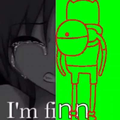 fi nn