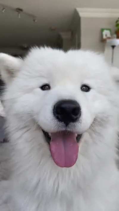 Magic ears
