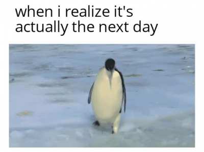 fuckfuckfuck!