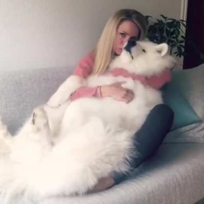 Cuddly cloud