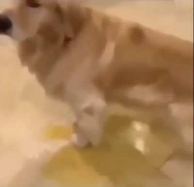 6yo me when dad had to take me to school
