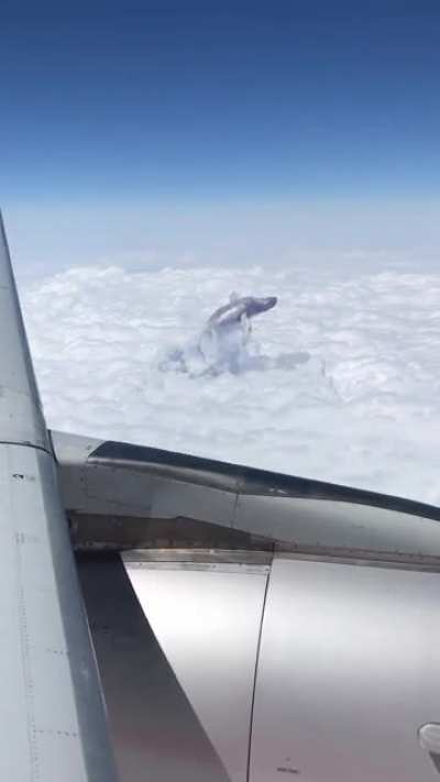 Just flying over the ocean, imagine the size...