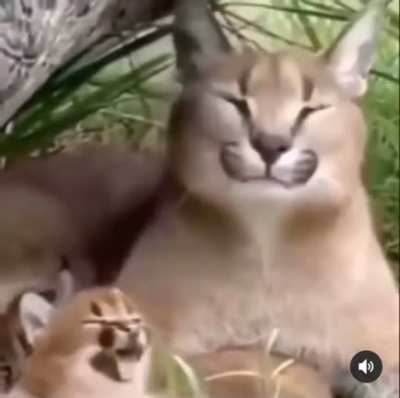 👁👅👁