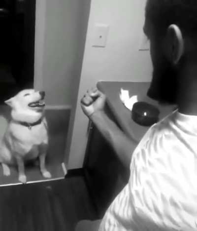 woof