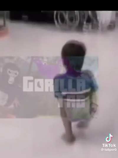 Gorilla Tag🤣