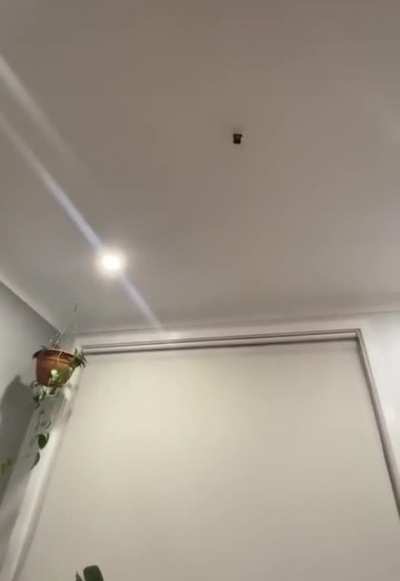 Ao infinto e AL&Eacute;M