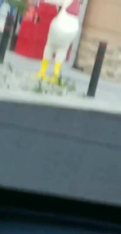 chicken