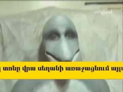 video0.mp4