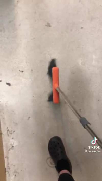 Vine quality