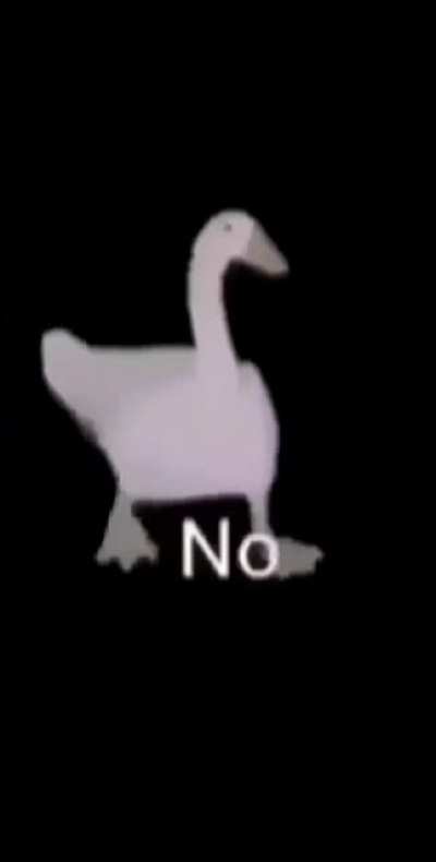No