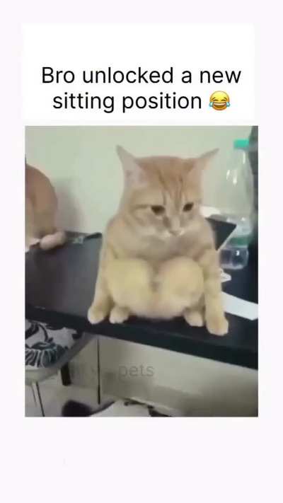 Unlocked new position.....meow