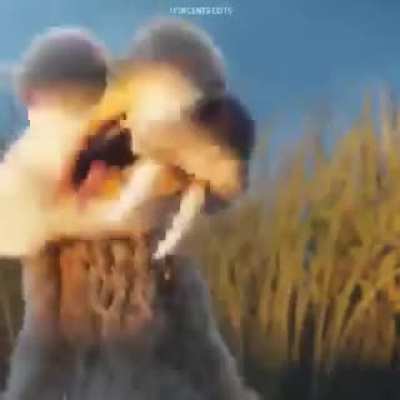 Ice Age Scrat Tales