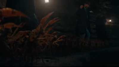 newt's dance in the new trailer was strangely familiar...