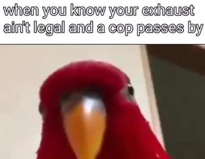 sneaks past in low rpm*