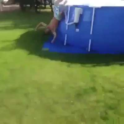 holdmybeer
