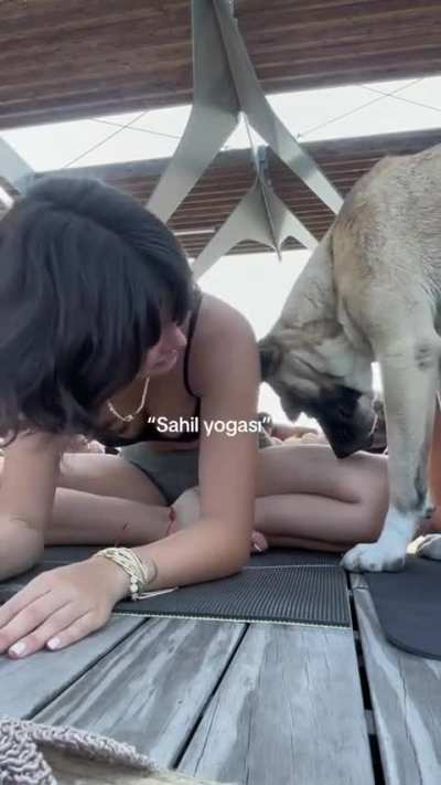 @adayilmazada