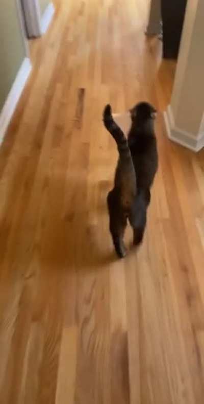 my lil buddy taking off w the dog treats 😂
