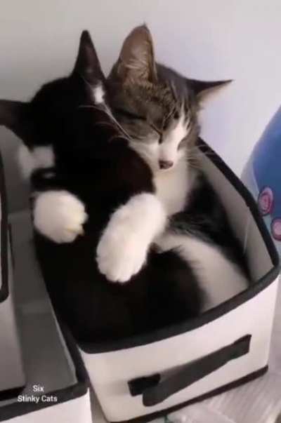 Squished Love.