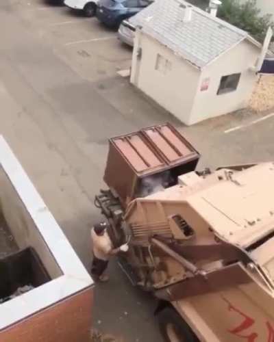 average trash panda