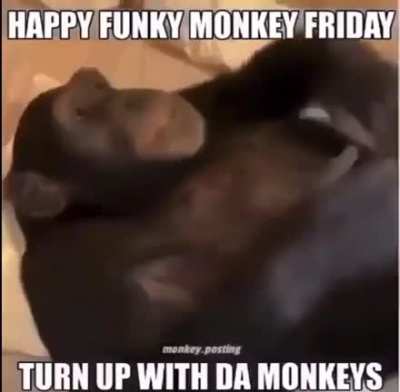 Turn up guys❗️the deluxe will drop soon don&rsquo;t worry 🧘&zwj;♂️🔥 it&rsquo;s funky monkey Friday🐒