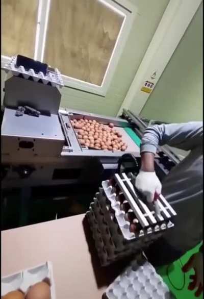 How to put eggs