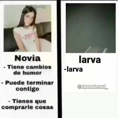 qe pasa larba¿ 😈👌