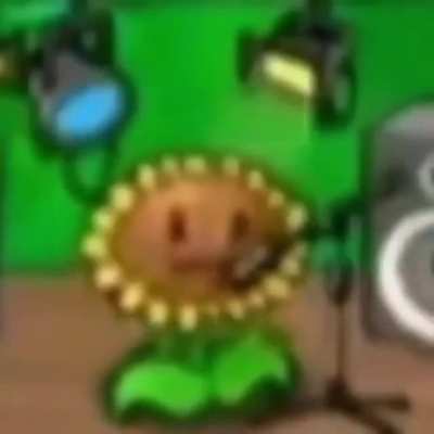 Hola