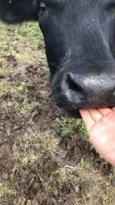 Mother&rsquo;s day at the farm