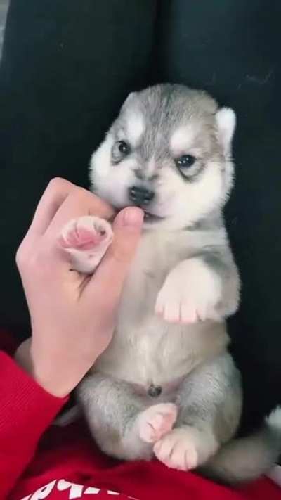 Just so cute
