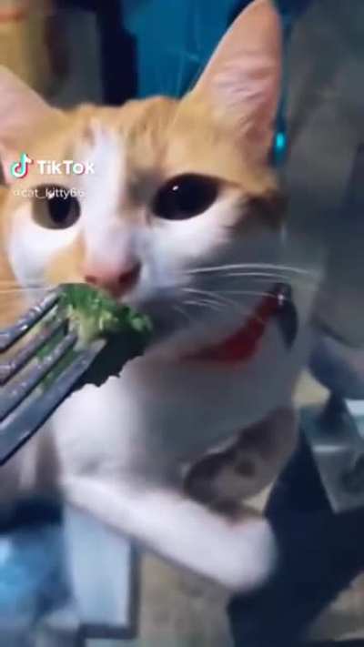 Eat Your Vegetables