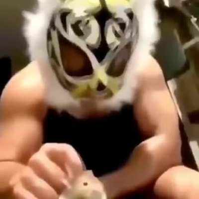 hamer