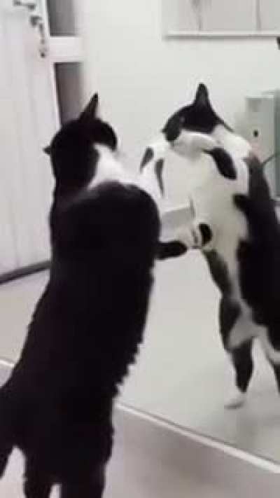 Wait for the end