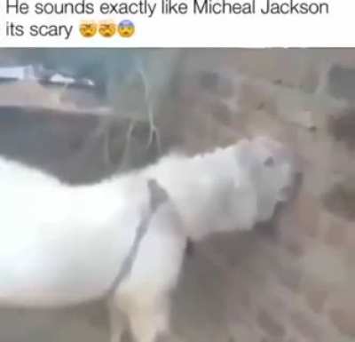 &lrm;