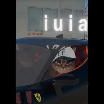 U I A 🐈🎶
