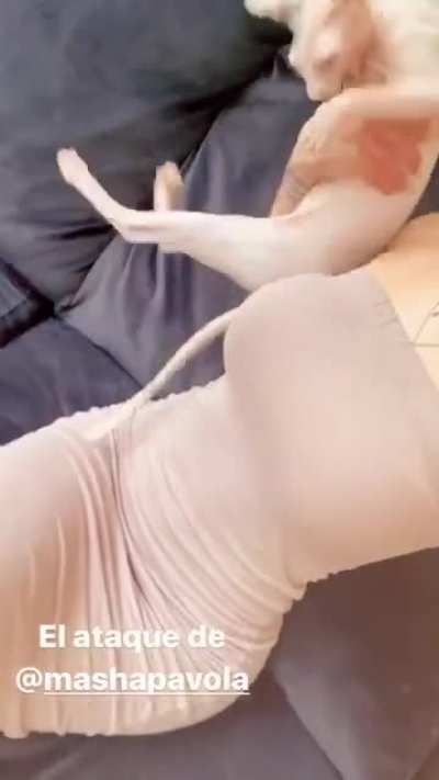 Curves