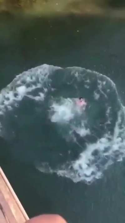 Back flipping off a bridge