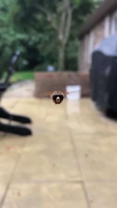Wait for it..