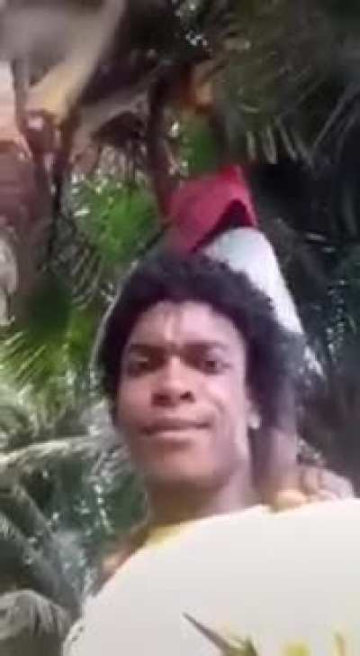 Tuc (n&atilde;o sei se &eacute; repost)