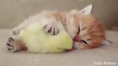to stay awake