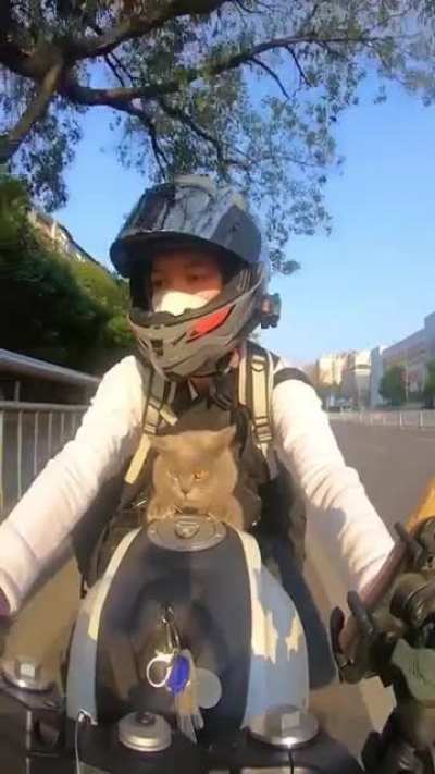 Biker Kat