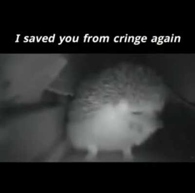 Congratulations, you are rescued!