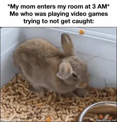 Sleep Mode Activated