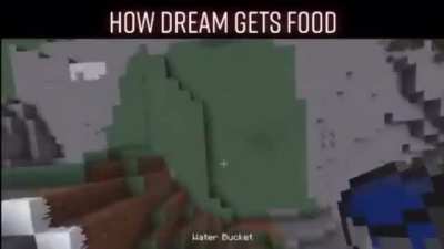 Dream big pro