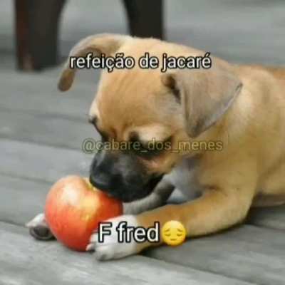 Delicia kk