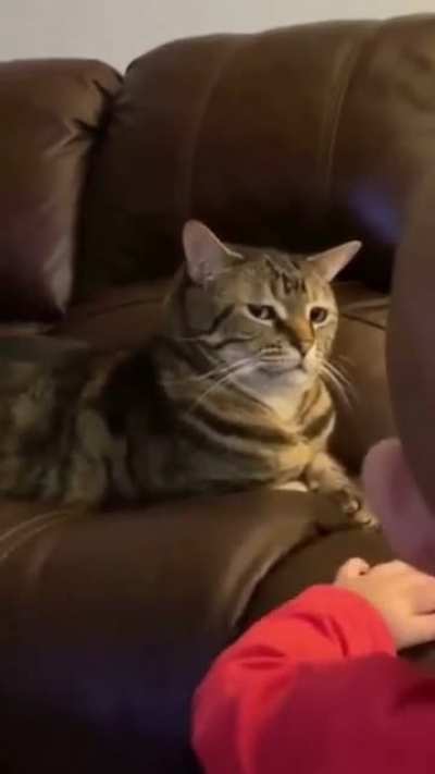 me_irl