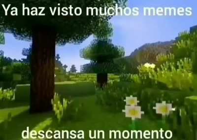 Ya has visto mucho meme 😂😂